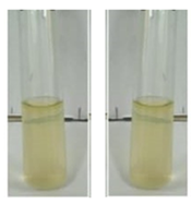 fortune-biomass-feedstock