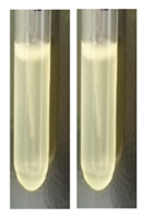 fortune-biomass-feedstock