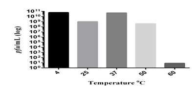fortune-biomass-feedstock