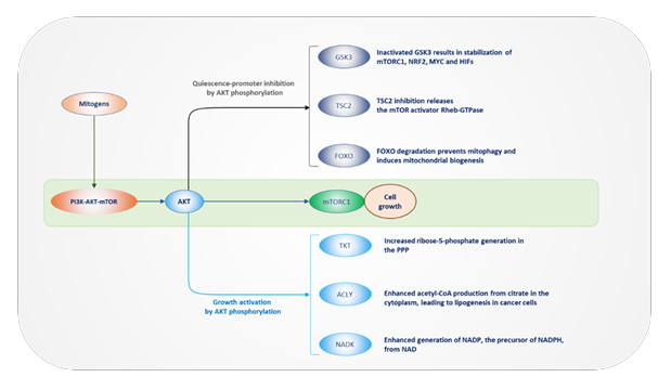 fortune-biomass-feedstock