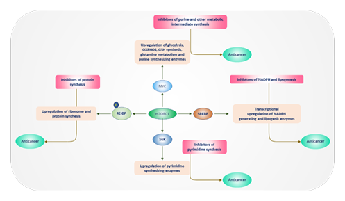 fortune-biomass-feedstock