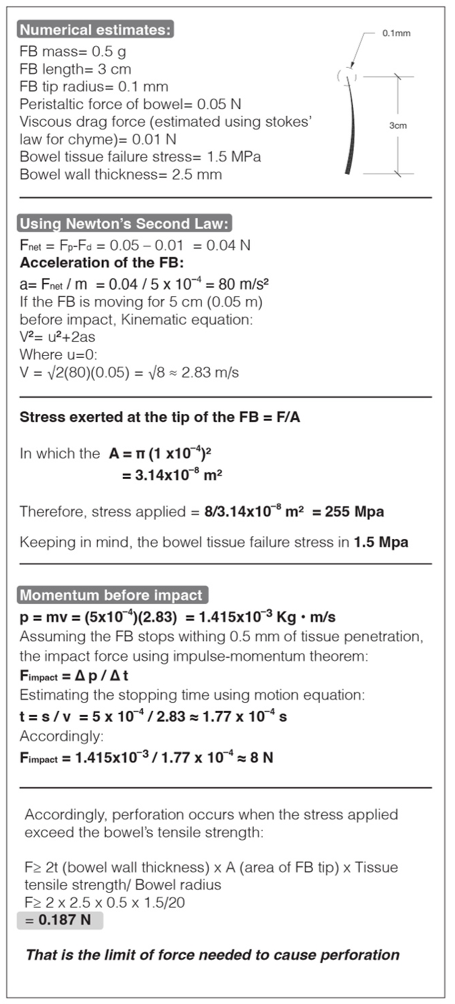 fortune-biomass-feedstock