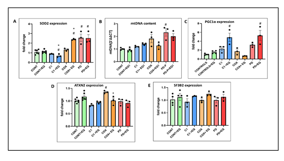 fortune-biomass-feedstock