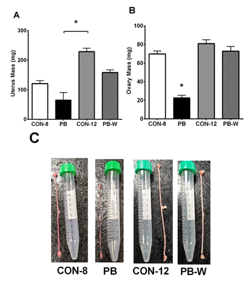fortune-biomass-feedstock fortune-biomass-feedstock