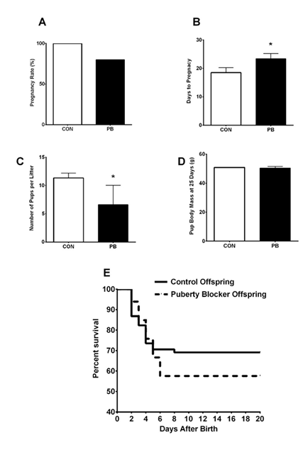 fortune-biomass-feedstock fortune-biomass-feedstock