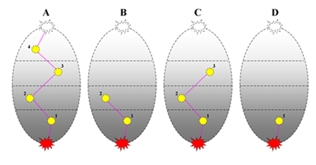 fortune-biomass-feedstock