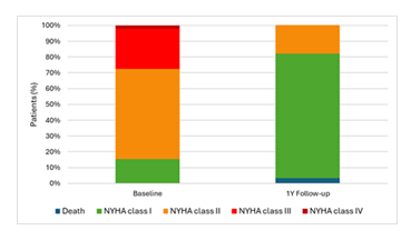 fortune-biomass-feedstock