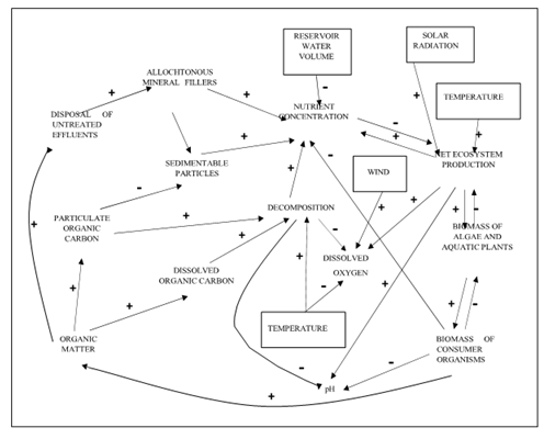 fortune-biomass-feedstock