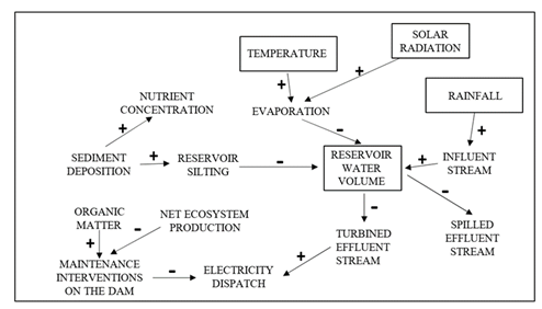 fortune-biomass-feedstock