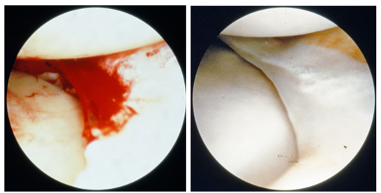fortune-biomass-feedstock fortune-biomass-feedstock