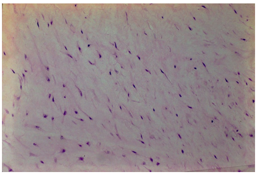 fortune-biomass-feedstock fortune-biomass-feedstock