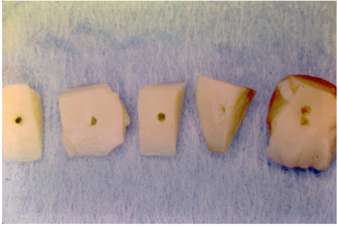 fortune-biomass-feedstock fortune-biomass-feedstock