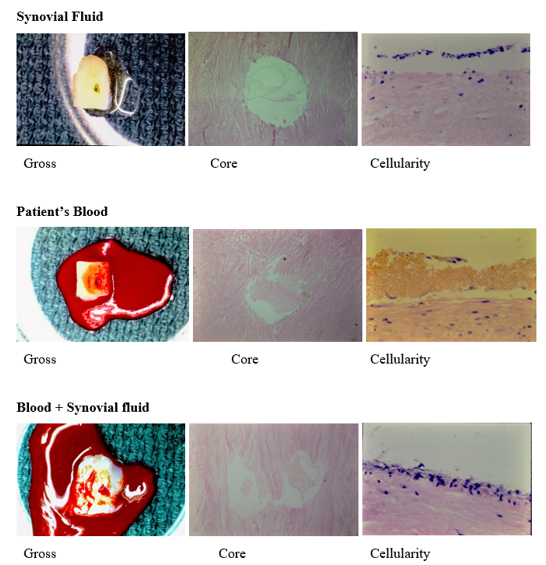 fortune-biomass-feedstock fortune-biomass-feedstock