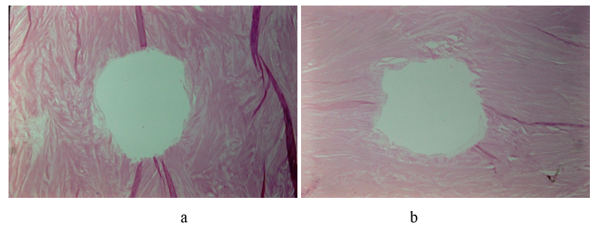 fortune-biomass-feedstock fortune-biomass-feedstock