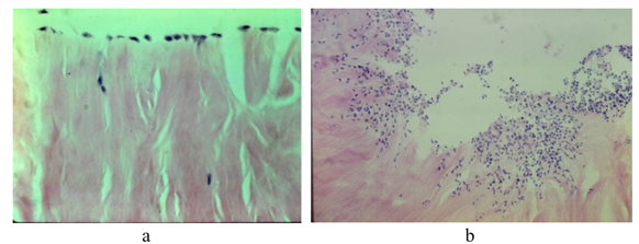 fortune-biomass-feedstock fortune-biomass-feedstock