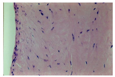 fortune-biomass-feedstock fortune-biomass-feedstock