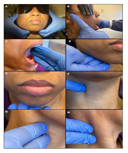 fortune-biomass-feedstock fortune-biomass-feedstock