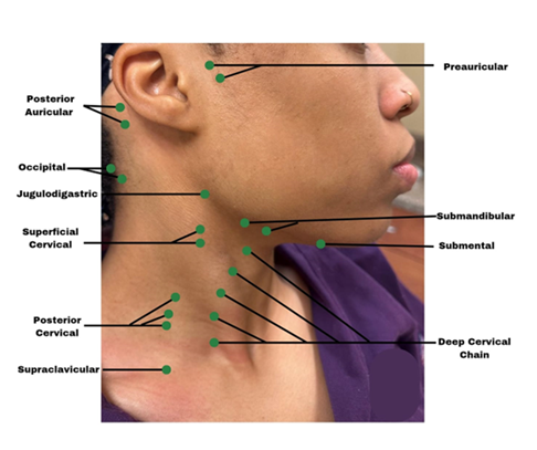 fortune-biomass-feedstock fortune-biomass-feedstock