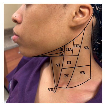 fortune-biomass-feedstock fortune-biomass-feedstock