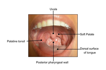fortune-biomass-feedstock fortune-biomass-feedstock