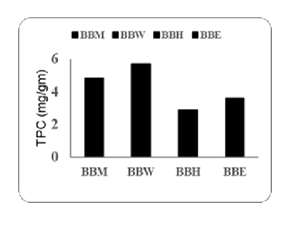 fortune-biomass-feedstock