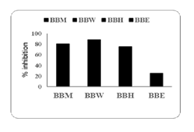 fortune-biomass-feedstock