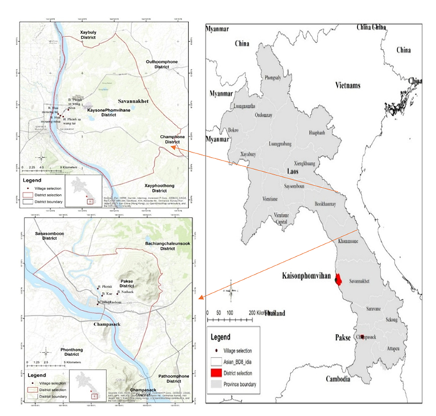 fortune-biomass-feedstock