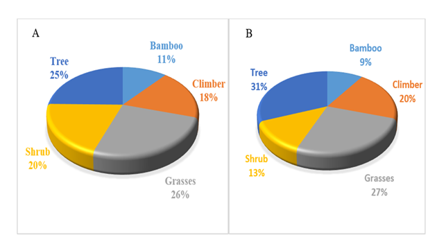 fortune-biomass-feedstock
