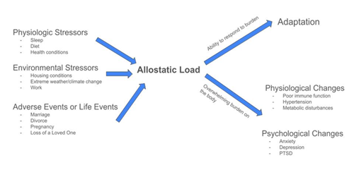 fortune-biomass-feedstock
