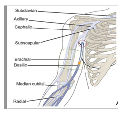 fortune-biomass-feedstock
