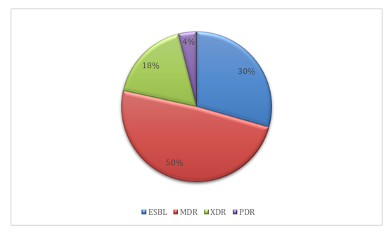 fortune-biomass-feedstock
