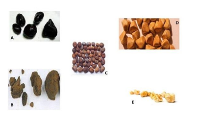 fortune-biomass-feedstock