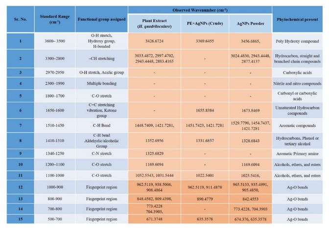 fortune-biomass-feedstock