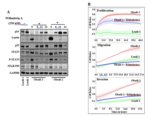 fortune-biomass-feedstock