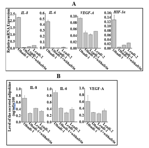 fortune-biomass-feedstock