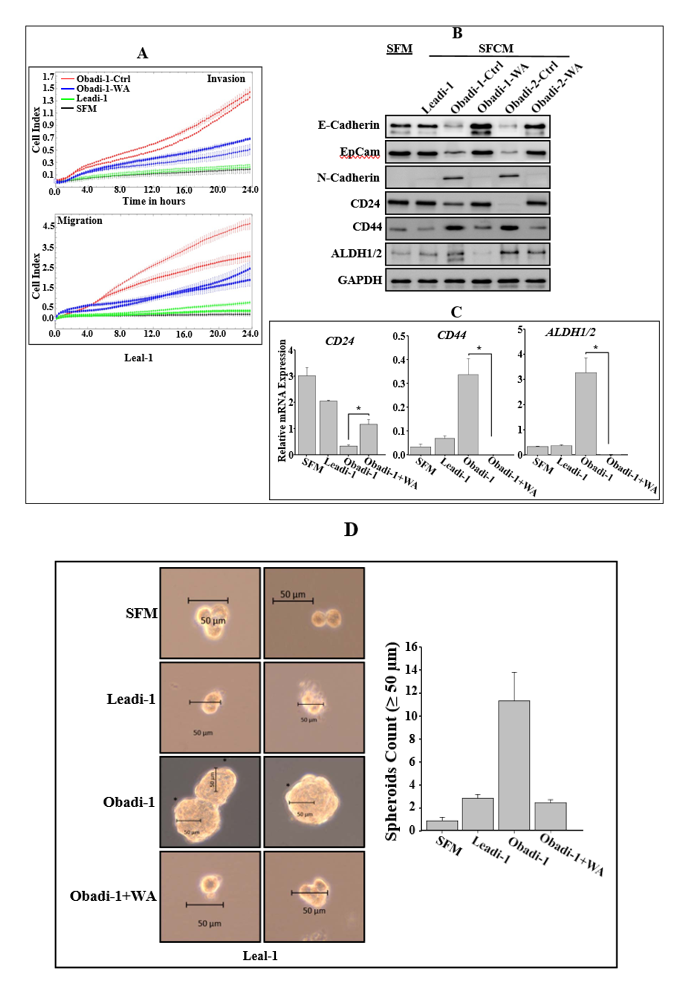 fortune-biomass-feedstock