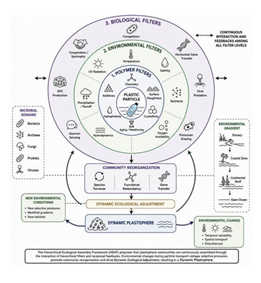 fortune-biomass-feedstock