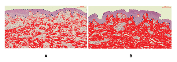 fortune-biomass-feedstock